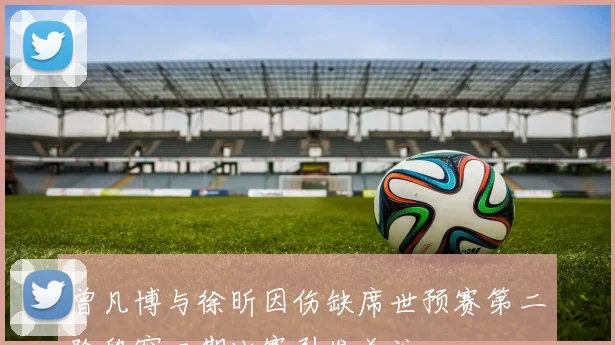 曾凡博与徐昕因伤缺席世预赛第二阶段窗口期比赛引发关注