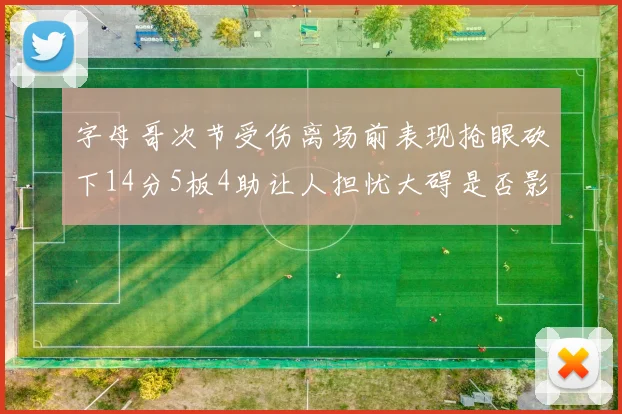 字母哥次节受伤离场前表现抢眼砍下14分5板4助让人担忧大碍是否影响后续比赛