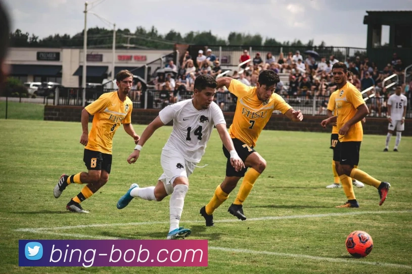 多媒体互动体验